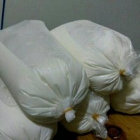 Homemade Plain Yoghurt