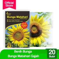 Benih Bunga Matahari Gajah (Potme Farm)
