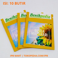 Benih Bunga Matahari unggul sun Flower Bibit Tanaman