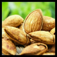 Top Brand 500Gram Kacang Almond Roasted Creamy Milk / Butter