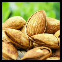PROMO 500GRAM KACANG ALMOND ROASTED CREAMY MILK / BUTTER TERMURAH
