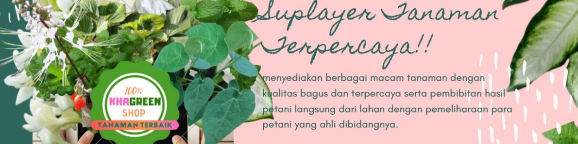Pohon Cupa Cupa Khagreen Tamansari Kab Bogor Tokopedia