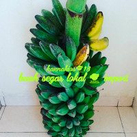 pisang kepok kuning 1 tandan - mentah