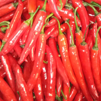 Jual Cabe Merah Besar 1 Kg Murah - Harga Terbaru 2020