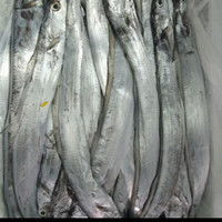 Jual Ikan Layur Murah - Harga Terbaru 2021