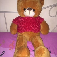 Jual Boneka Teddy Bear Di Tasikmalaya Harga Terbaru 2020