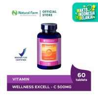 WELLNESS EXCELL-C 500MG