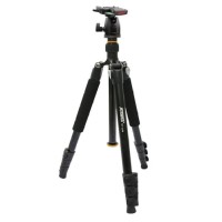 Attanta Tripod dan Monopod Ball Head TVT-224M - Hitam