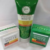 kosmetik gizi
