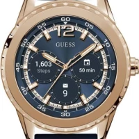 guess c1002m2