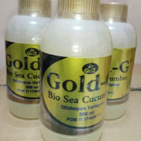 Harga Jelly Gamat Gold G Sea Cucumber Katalog.or.id Harga Jelly Gamat Gold G Sea Cucumber Katalog.or.id