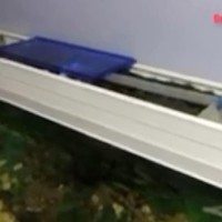 Jual Aquarium Ukuran 1 Meter Murah - Harga Terbaru 2020