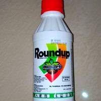 Jual Obat Rumput Liar Murah - Harga Terbaru 2020
