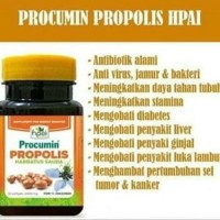 Supplement Procumin Propolis HNI HPAI ASLI