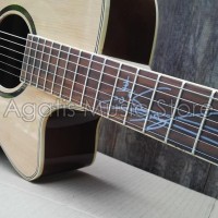 Info Gitar Lakewood Original Katalog.or.id Info Gitar Lakewood Original Katalog.or.id