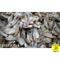 ikan asin sepat rawa 1kg kualitas istimewa termurah