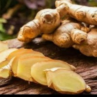 Jahe Emprit Fresh Segar /Jahe Berjuta khasiat