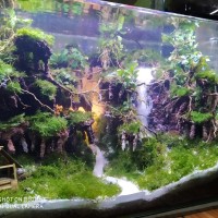 Aquascape Tema Sawah – Gambar.se Aquascape Tema Sawah – Gambar.se