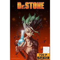 Wallpaper Jual Dr Stone Murah Harga Terbaru 2020 Free