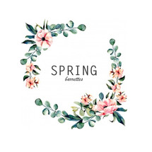 Logo Spring Barrettes