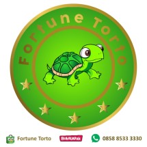 Logo Fortune Torto
