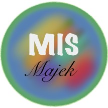 Logo Majek Ilak Tech Store