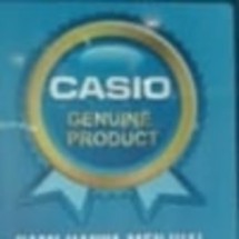 Logo Casio Original