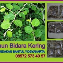 Logo Daun Bidara