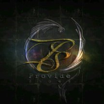 Logo ProvideShoes