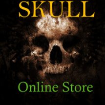Logo Skull Online Store
