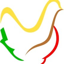 Logo sanjayasports.net