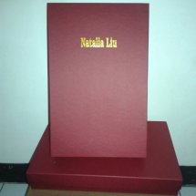 Logo Soen box
