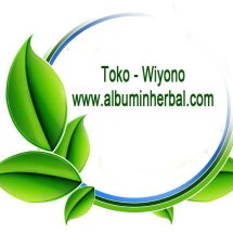 logo_tokowiyono