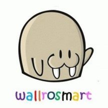 Logo Wallrosmart Cloth