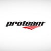 Logo Proteam Indonesia