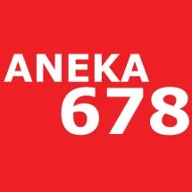 logo_aneka678