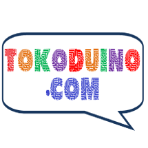 Logo Tokoduino
