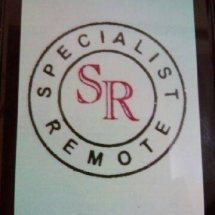 Logo Specialist Remote