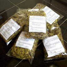 Jual Rumput Kebar Papua Terapi Kesuburan - Kab. Sleman