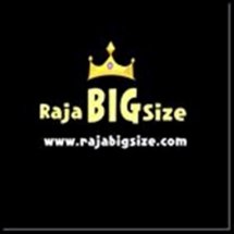 Logo rajabigsize