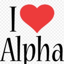 Logo alpha car accessories