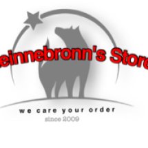 Logo Steinnebronn's Store