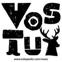Logo VOSTU