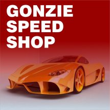Logo GONZIE