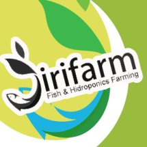 Logo JIRIFarm Hidroponik