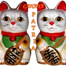 logo_patria-berkah