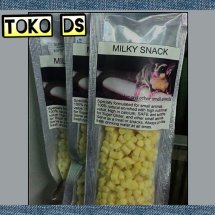 Logo Toko DS