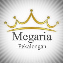 logo_megaria102