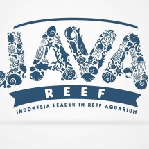 Logo Java Reef