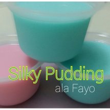Logo Fayo Solo